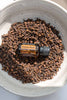 doTERRA Clove Essential Oil