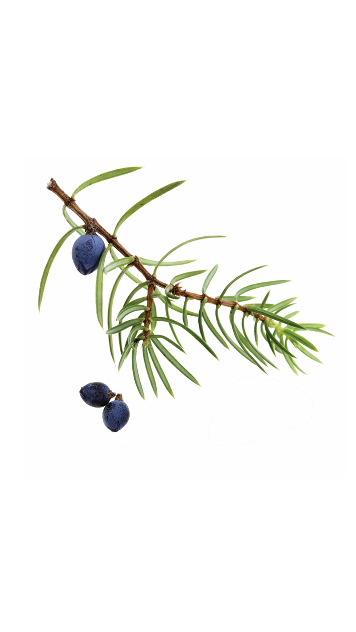 doTERRA Juniper Berry Essential Oil