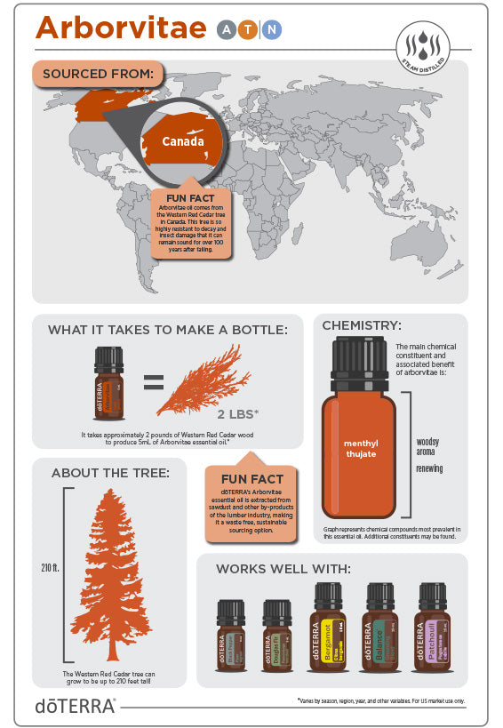 doTERRA Arborvitae Essential Oil